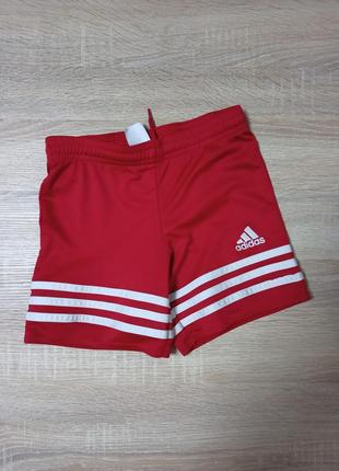 Шорти adidas climalite4-6