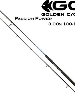 Спінінг gc passion power 3.00 м 100-180г