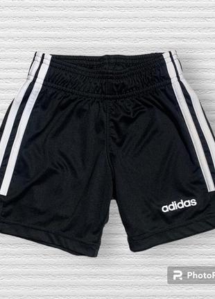 Шорты adidas оригинал