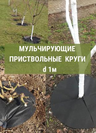 Приствольный круг d 1 м  из агроволокна п - 70 г/м.кв.