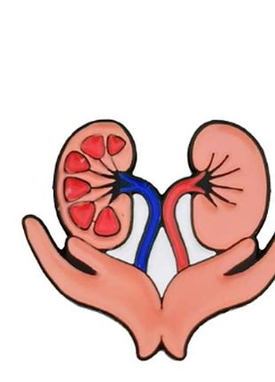 Медицинская брошь брошка пин значок металл и эмаль анатомия медицинская почки врач доктор нефролог