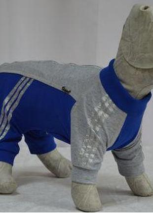 Комбинезон для собаки тэнис розпродаж