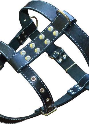 Шлея для собаки "вівчарка"