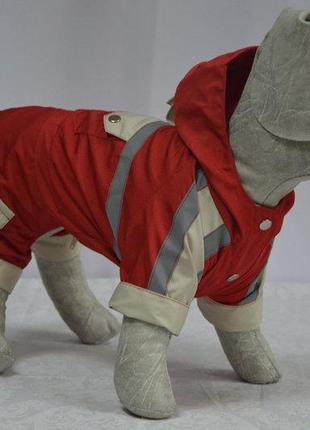 Костюм для собак «демисезонн» 21х27 см