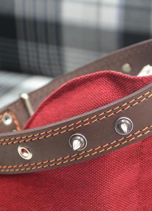 Нашийник для собак з шипами