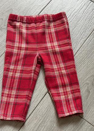 Брючки / брюки / штани в клітинку next