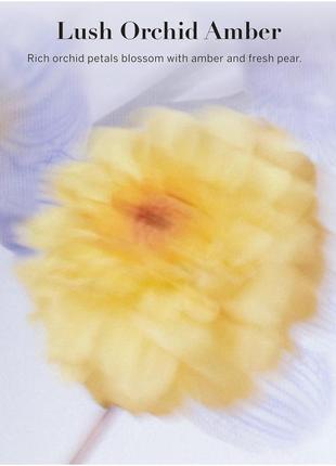 Набор парфюмированный спрей мист и лосьон victoria’s secret vivid blooms lush orchid amber5 фото