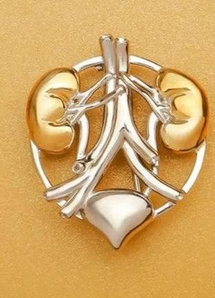 Медична брошка брошка пін значок метал сріблястої анатомії нирки лікар нефролог