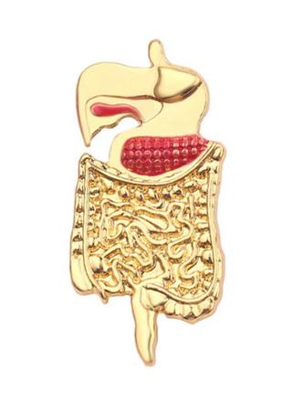 Медицинская брошь брошка значок пин золотистый металл медицина кишечник толстая кишка печень органы