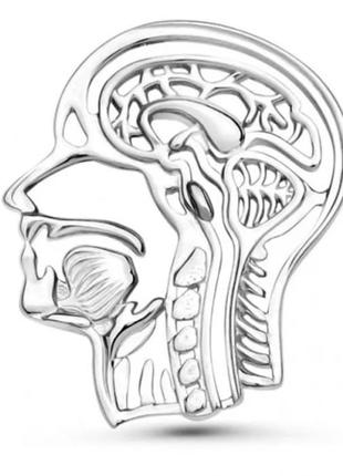 Брошь брошка значок металлический головной мозги мозг человека голова анатомия серебристый