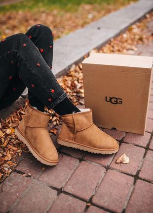 Уги ️ugg w classic mini chestnut угги