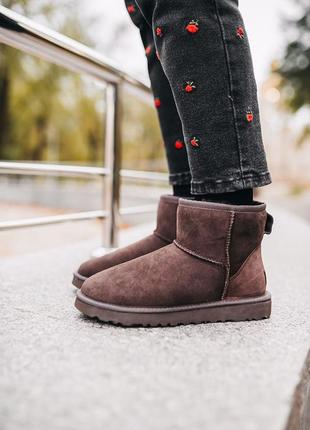 Уги ugg classic mini “chocolate” угги7 фото