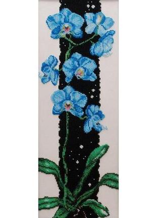 Набір для вишивки бісером "синя орхідея" фаленопсис, ніч, зірк...