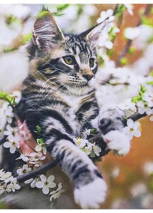 Набір алмазна мозаїка вишивка милий кошеня сірий пухнастий кіт...