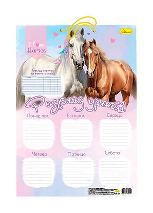 Ламінований розклад уроків ап-0802 формат а3 (вид 1)