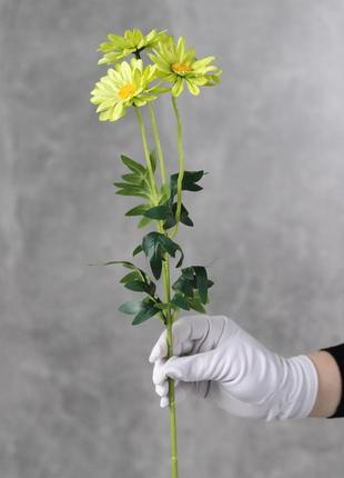 Штучна гілка ромашок, колір салатовий, 50 см. квіти преміумкласу для інтер'єру, декору, фотозони2 фото