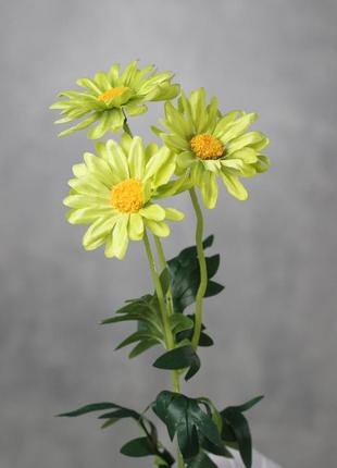 Штучна гілка ромашок, колір салатовий, 50 см. квіти преміумкласу для інтер'єру, декору, фотозони1 фото