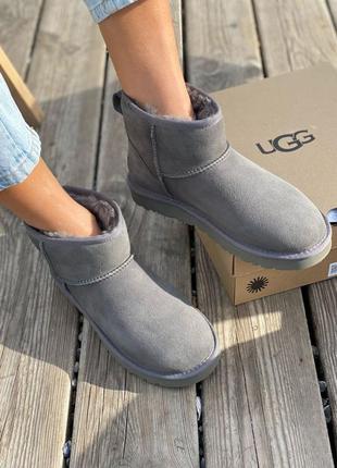 Жіночі сірі уггі ugg classic mini grey