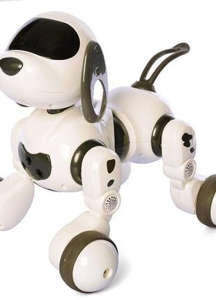 Інтерактивний робот собака smart robot dog dexterity на радіок...