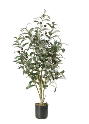 Штучна рослина engard olive tree, 80 см (dw-20) z115-2024