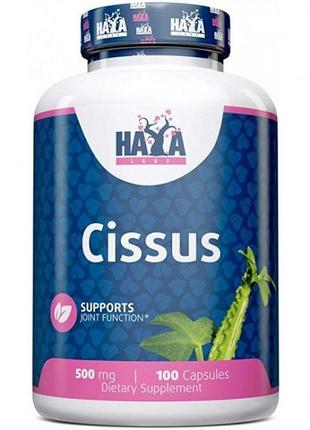 Антиоксидант haya labs cissus 500 mg 100 caps z115-2024