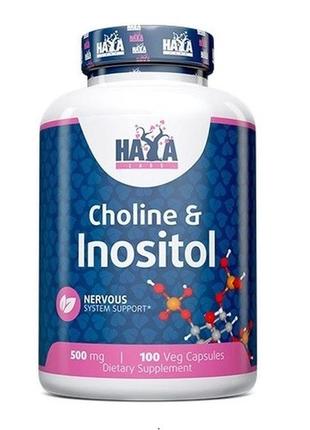 Инозитол haya labs choline & inositol 100 veg caps z115-2024
