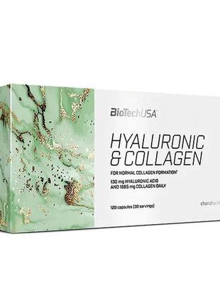 Хондропротектор для спорту biotechusa hyaluronic collagen 120 ...