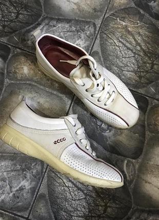 Кеды известного дорогого бренда ecco