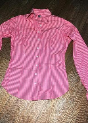 Сорочка італія демісезонна рожева блузка 42 s смужка класиків...3 фото