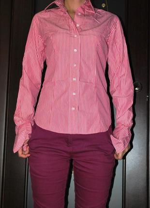 Сорочка італія демісезонна рожева блузка 42 s смужка класиків...6 фото