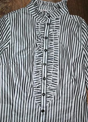 Блузка сіра в смужку шикарна сорочка розкішна італія xs s7 фото