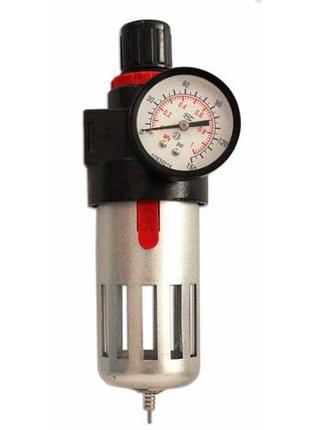 Фільтр-редуктор для фарбопульта forte frm-12