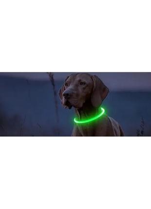 Світлодіодний led-нашийник для собак із заряджанням usb4 фото