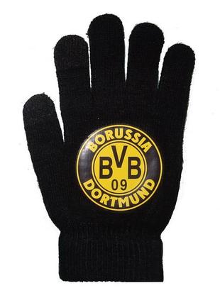 Спортивные перчатки футбольные боруссия дортмунд (2901)