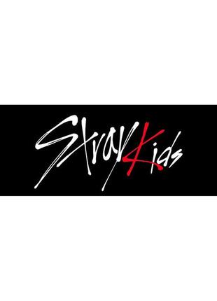 Чашка k-pop стрей кідс stray kids (0778)4 фото