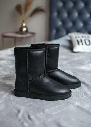 Сапоги ugg classic short женские из кожи