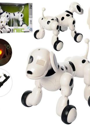 Інтерактивна робот-собака rc 0006 на радіокеруванні світлові т...