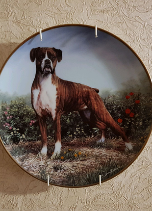Продам фарфоровую тарелку с изображением немецкого боксёра.