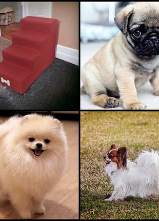 Лесенка для собак купить портативная лесенка для собак лесенка для маленьких собаклесенка для щенков