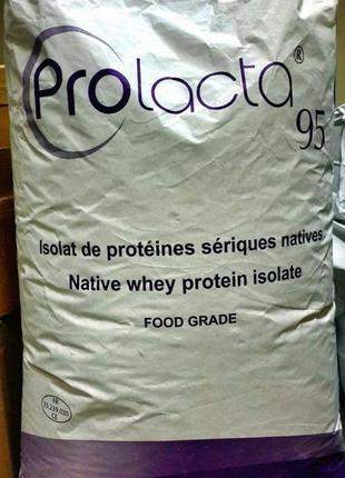 Ізолят протеїн 95% білка lactalis prolacta 95 (франція)