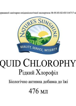 Рідкий хлорофіл, chlorophyll liquid, хлорофіл рідкий, 475 мл, ...4 фото