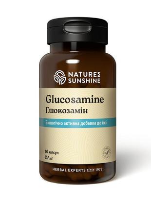 Вітаміни для суглобів, глюкозамін, glucosamine, nature's sunsh...