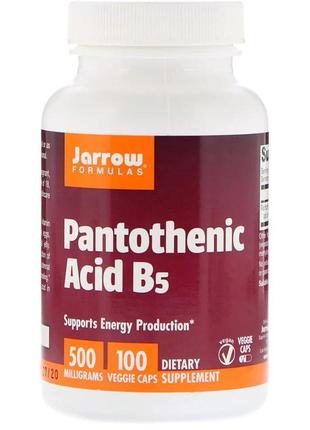 Пантотенова кислота (b5) pantothenic acid, jarrow formula, 500...