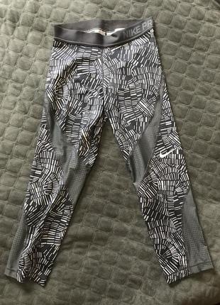 Тайси лосини