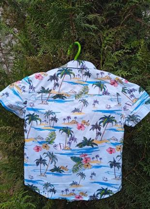Рубашка летняя пальмы3 фото