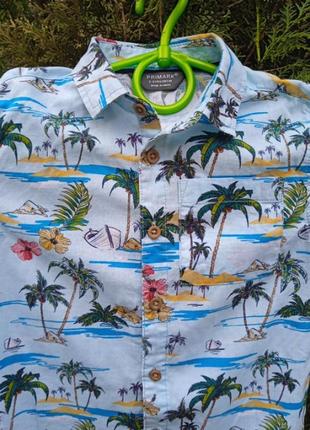 Рубашка летняя пальмы4 фото