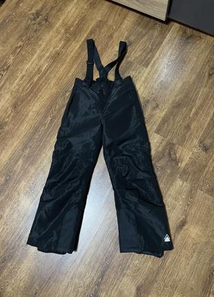 Лижні штани