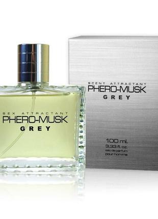 Парфуми з феромонами для чоловіків phero-musk grey, 100 ml1 фото