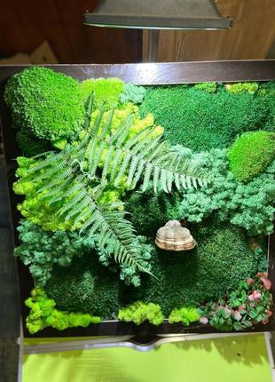 Картина зі стабілізованим мохом і рослинами2 фото