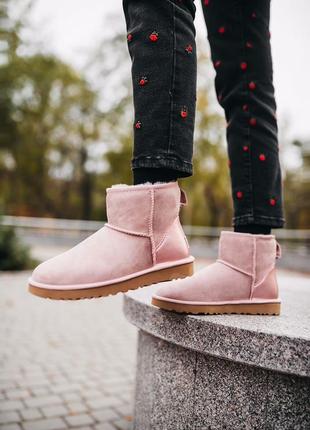 Ugg mini classic pink угги2 фото